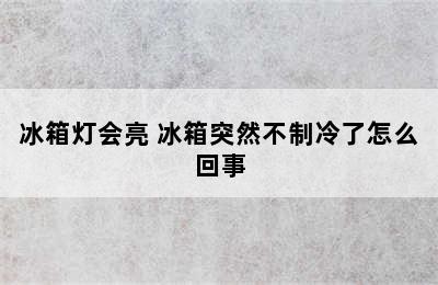 冰箱灯会亮 冰箱突然不制冷了怎么回事